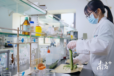 “订单作育”人数立异高！广东高校首个产教融合树模园区生长新动向